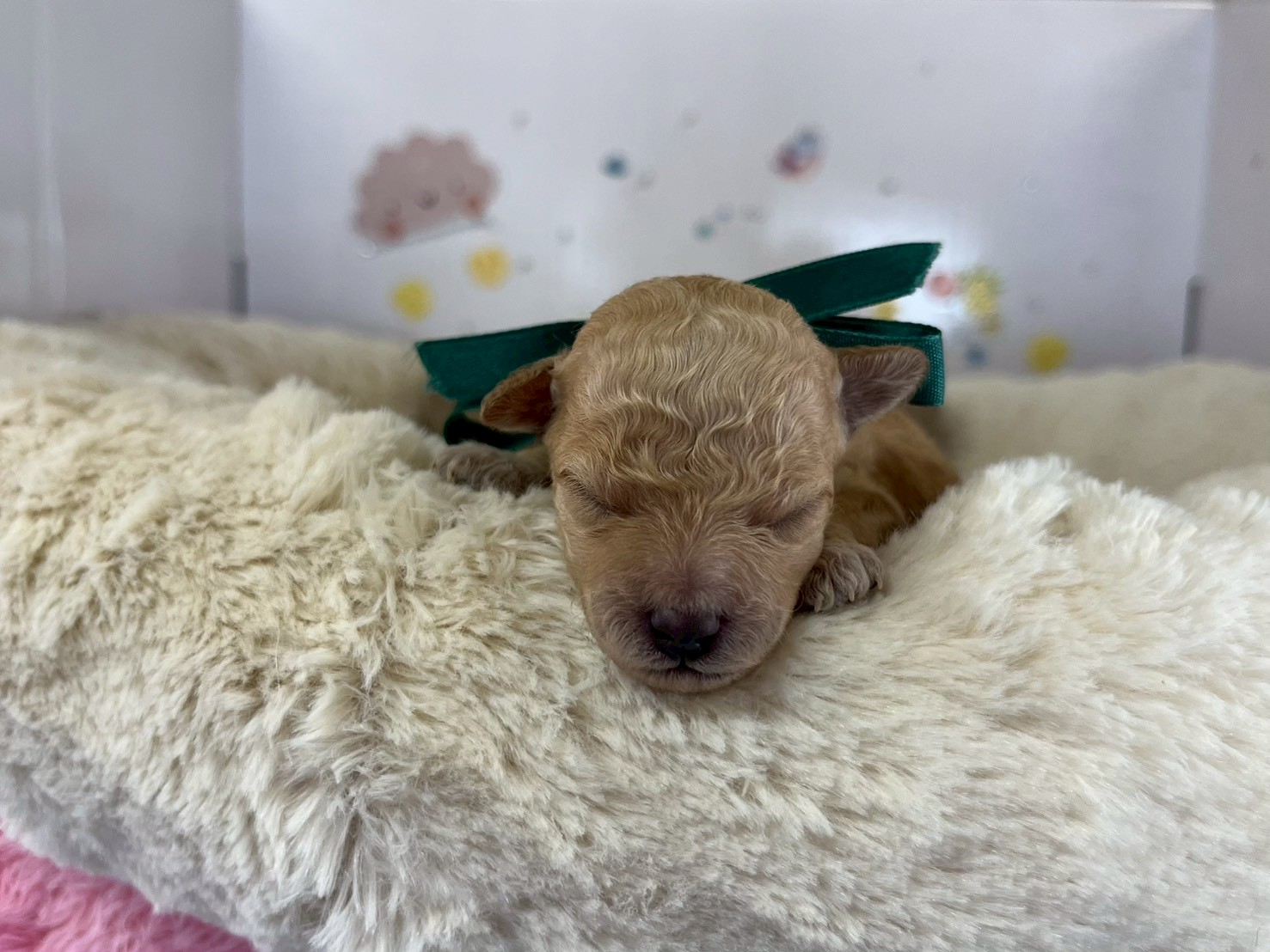 赤ちゃん写真1-1