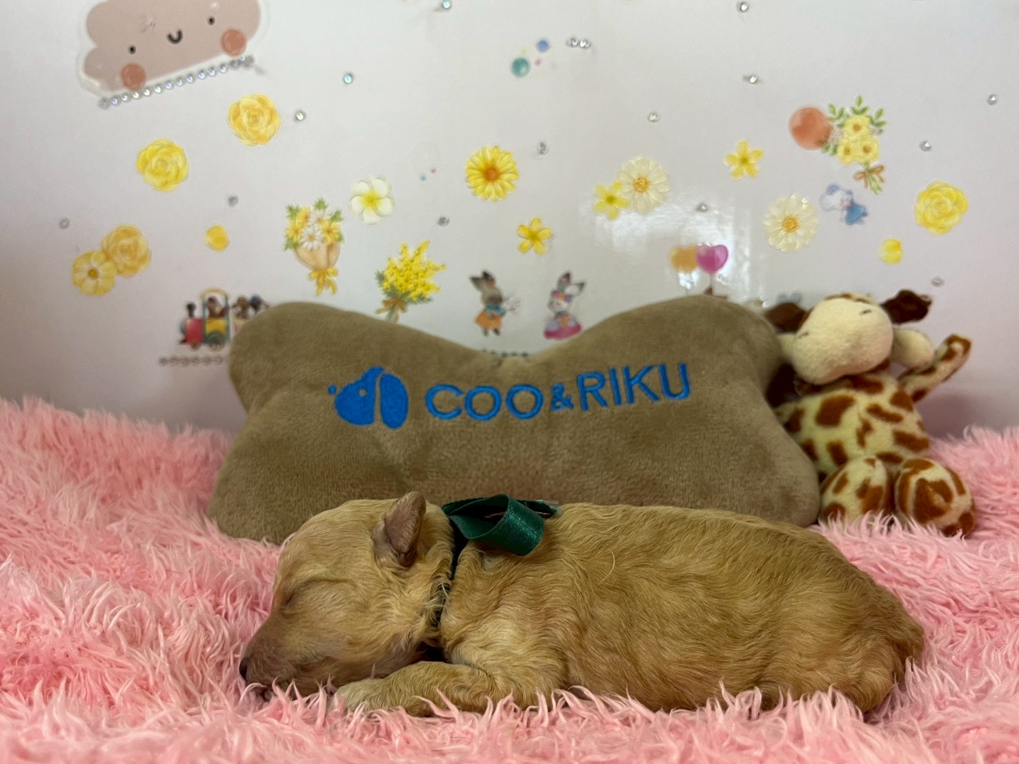 赤ちゃん写真1-2