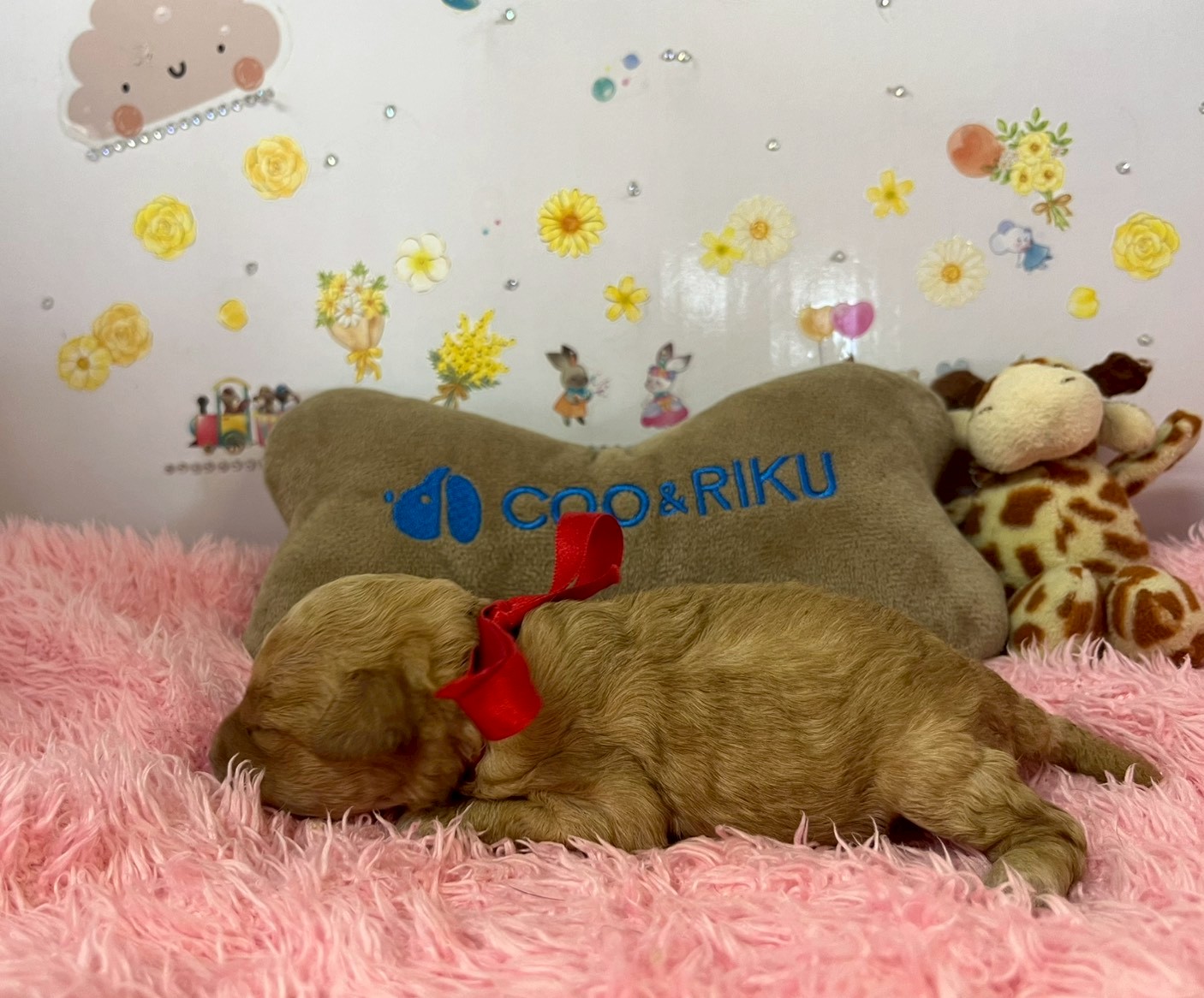 赤ちゃん写真1-2