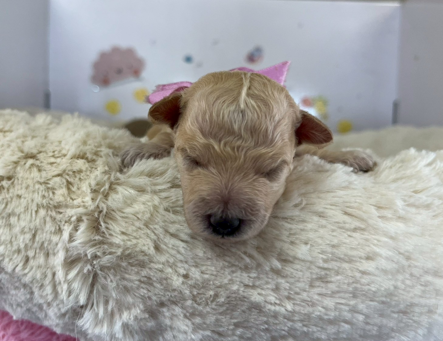 赤ちゃん写真1-1