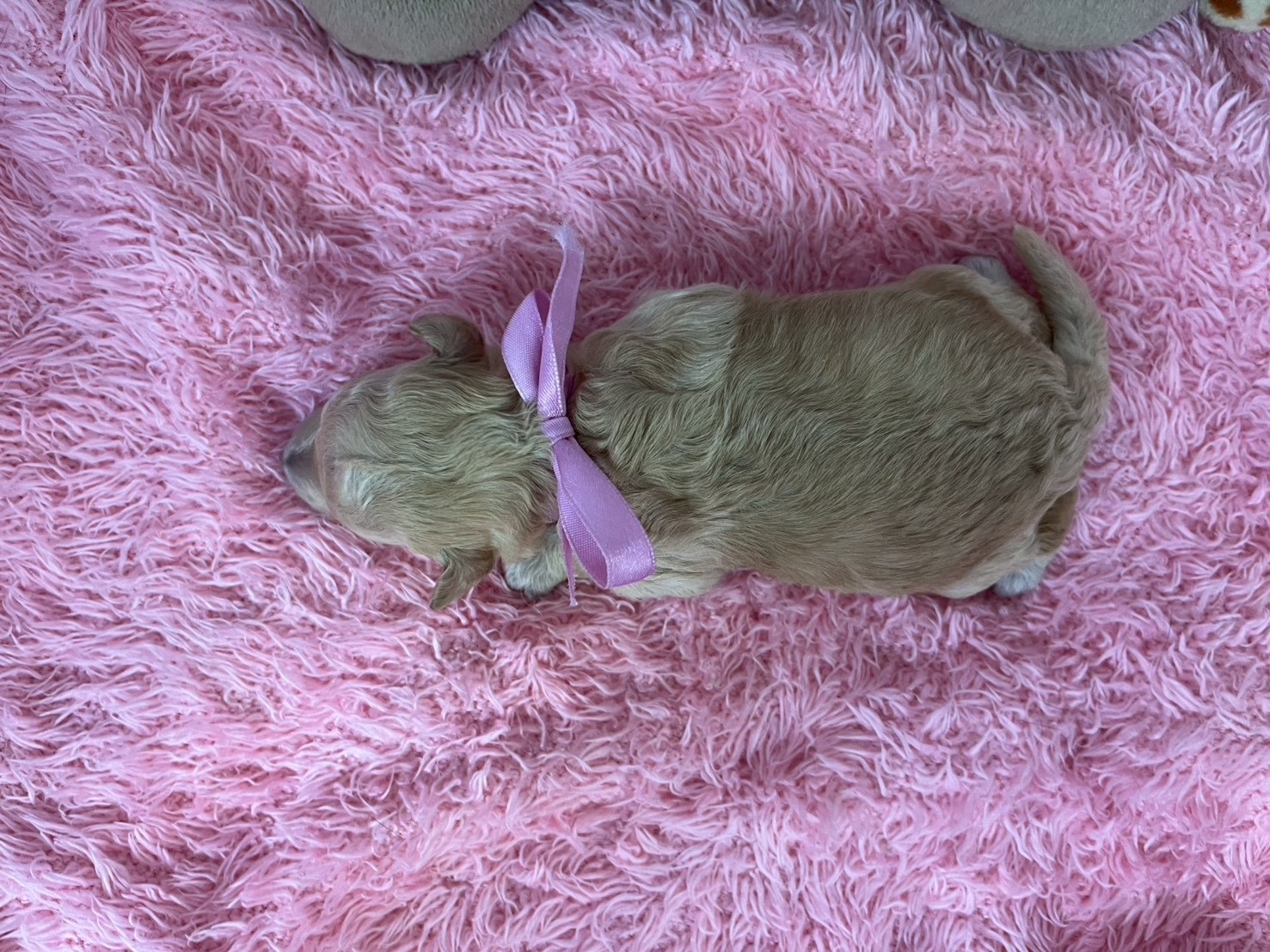 赤ちゃん写真1-3