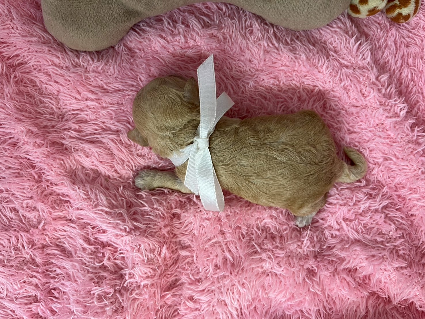 赤ちゃん写真1-3