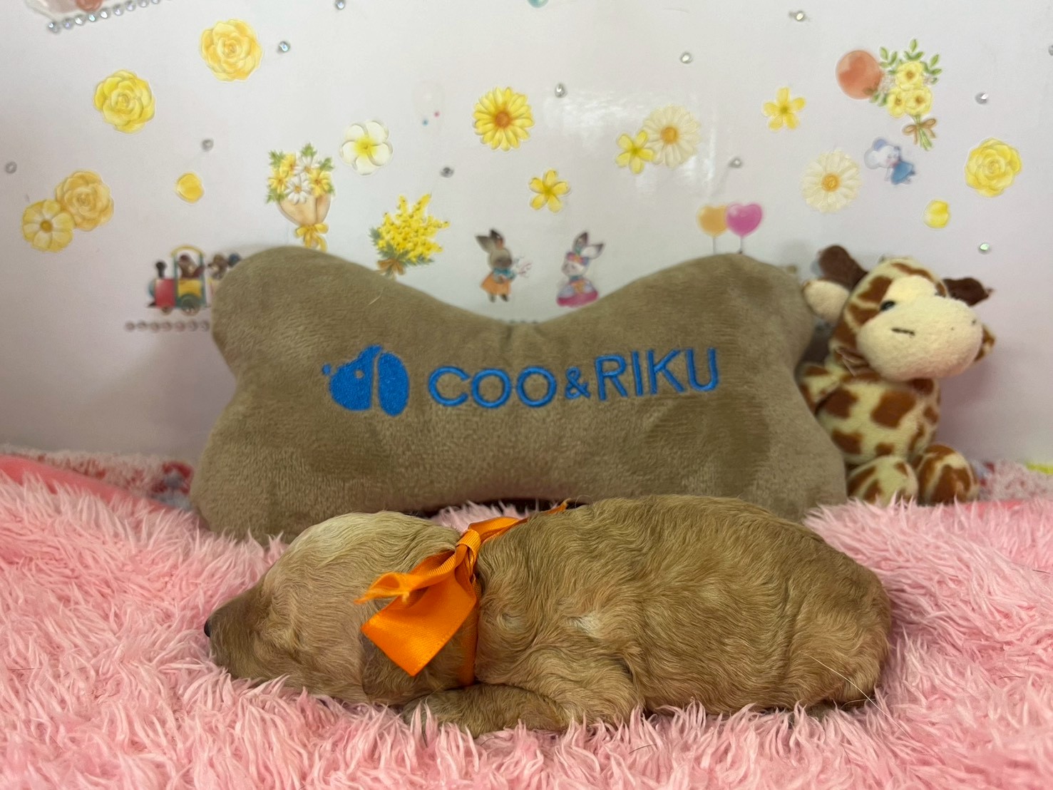赤ちゃん写真1-2