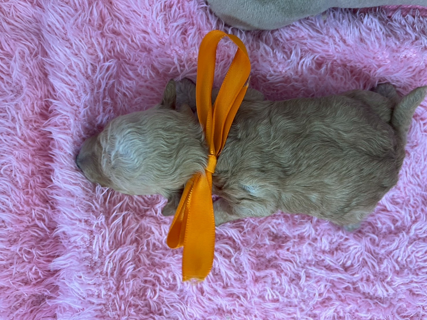 赤ちゃん写真1-3