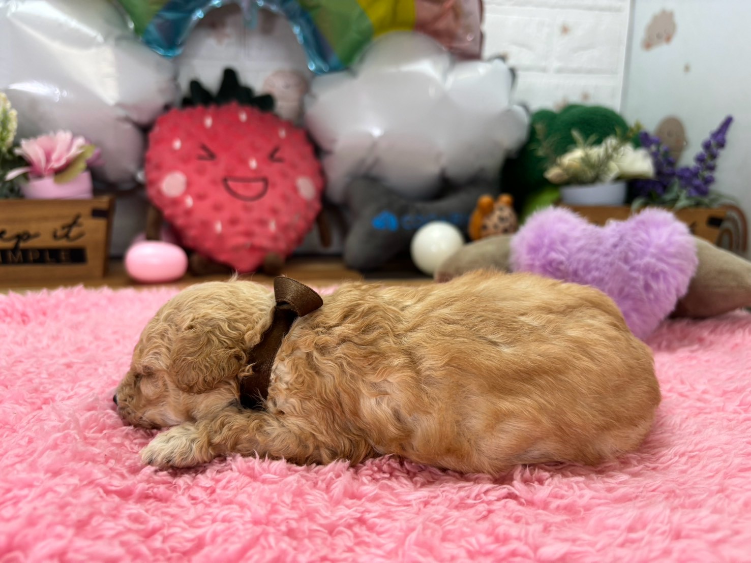 赤ちゃん写真2-2