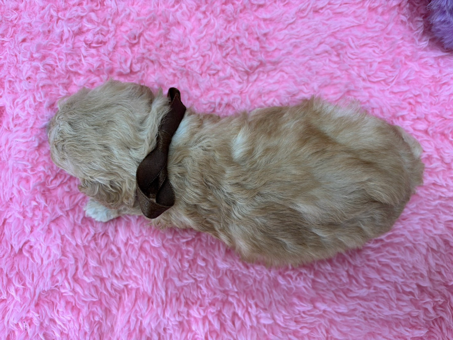 赤ちゃん写真2-3
