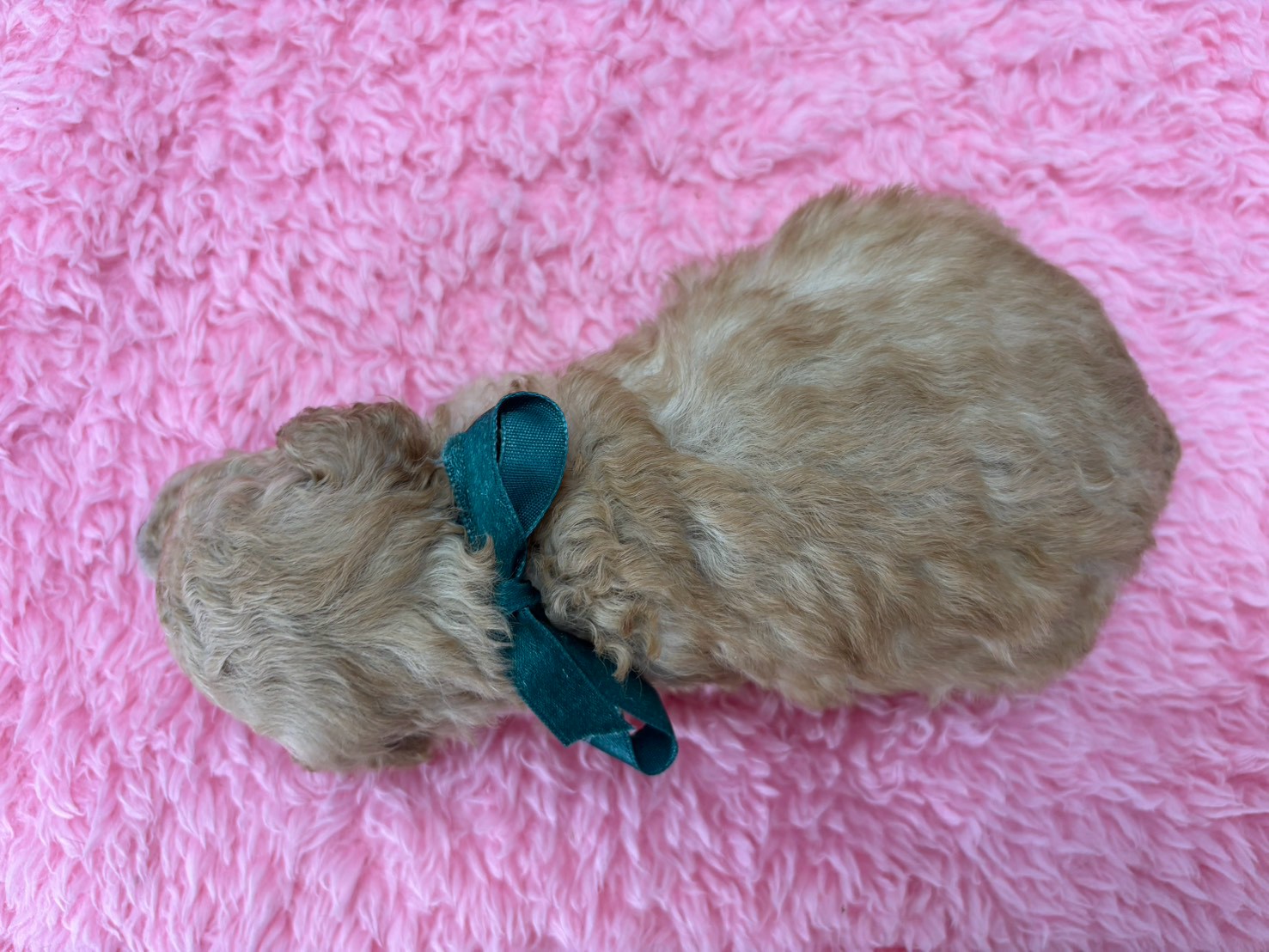 赤ちゃん写真2-3