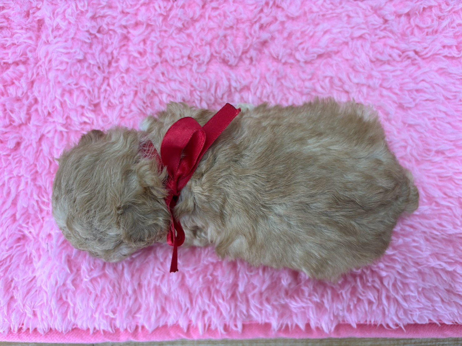 赤ちゃん写真2-3