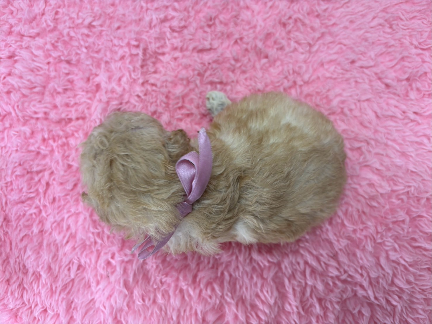 赤ちゃん写真2-3