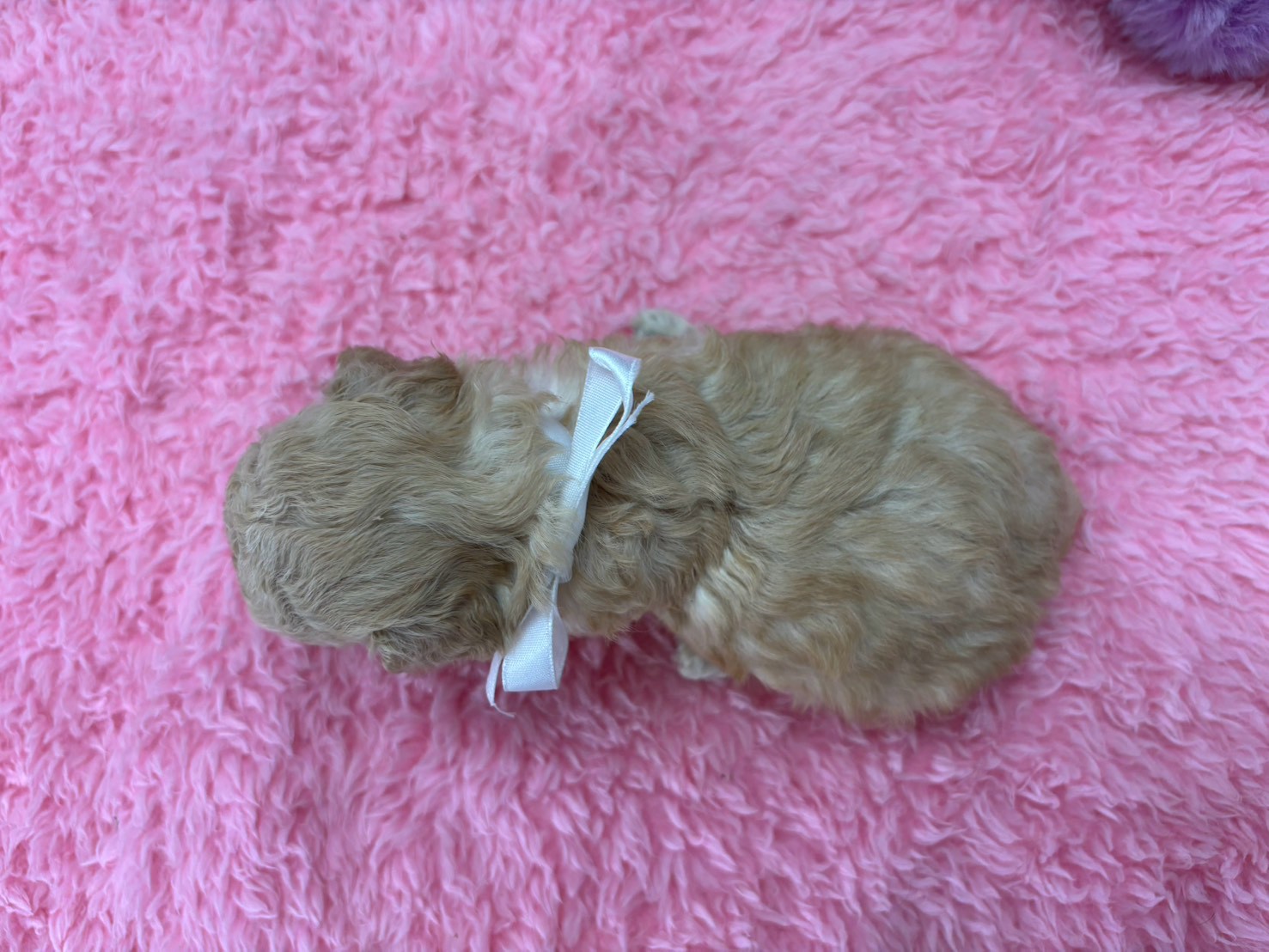 赤ちゃん写真2-3