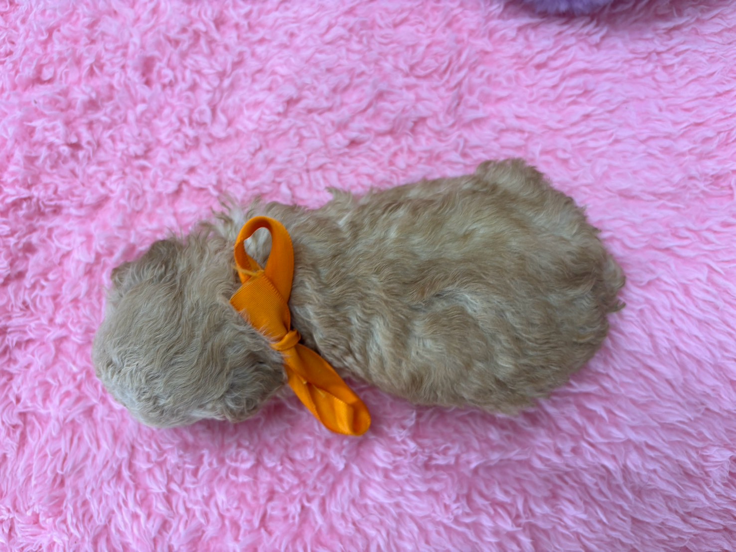 赤ちゃん写真2-3