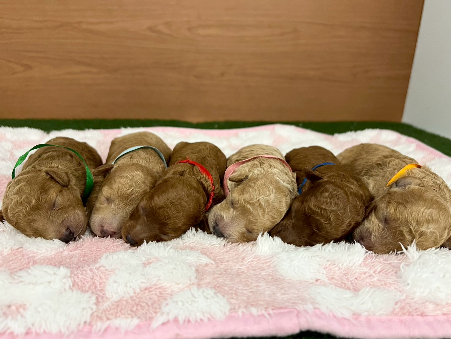 赤ちゃん写真1-3