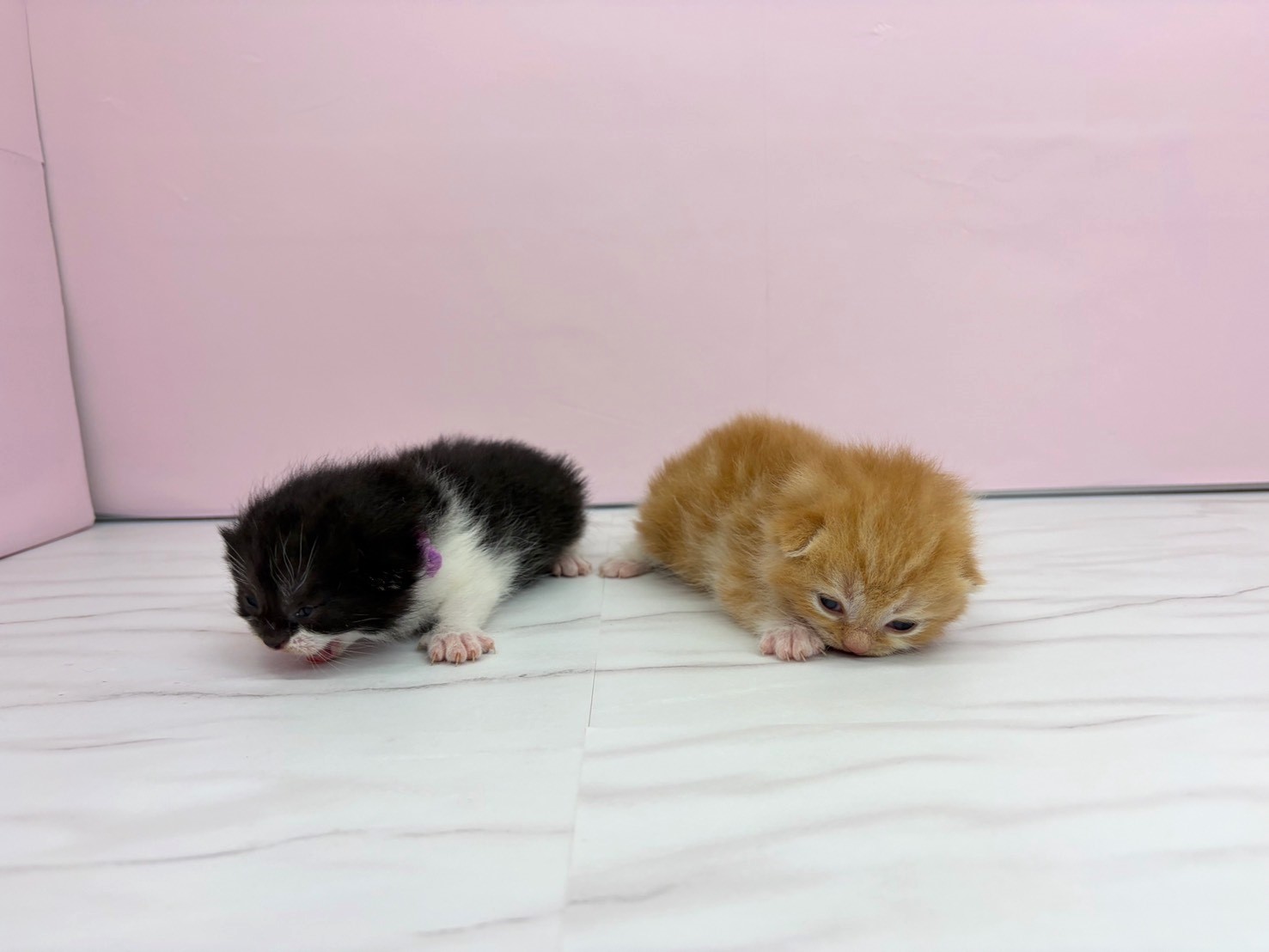 赤ちゃん写真1-3