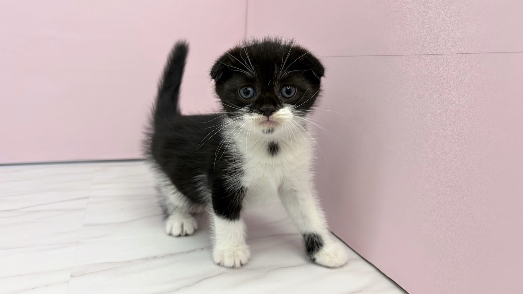 赤ちゃん写真2-1