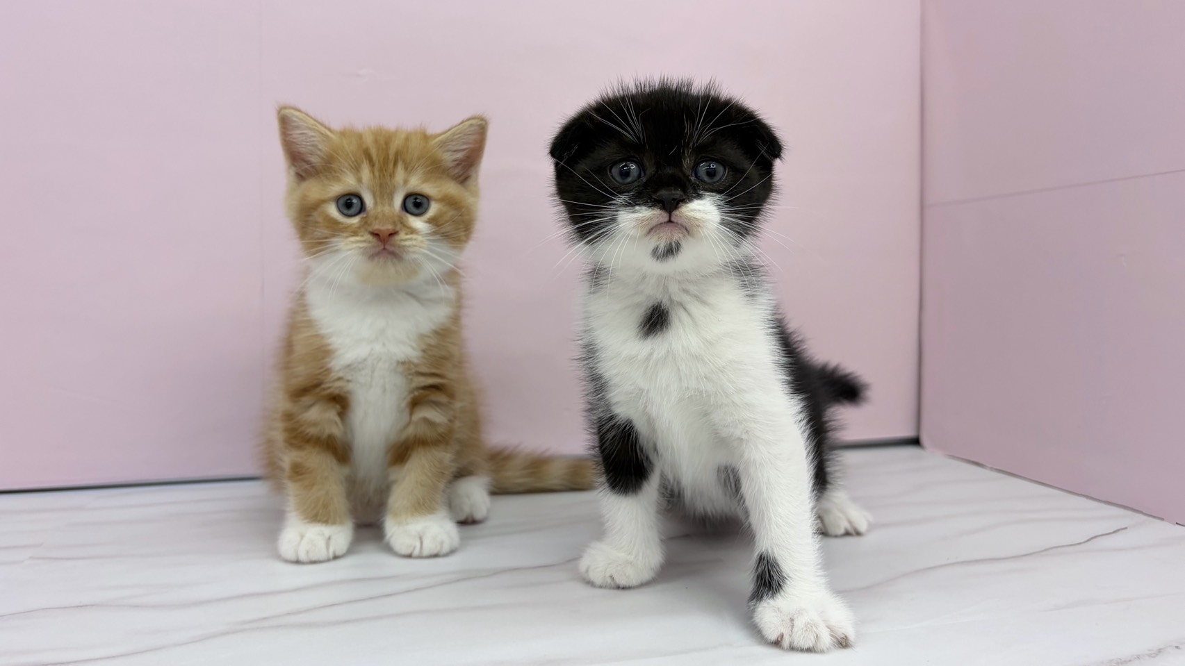 赤ちゃん写真2-3