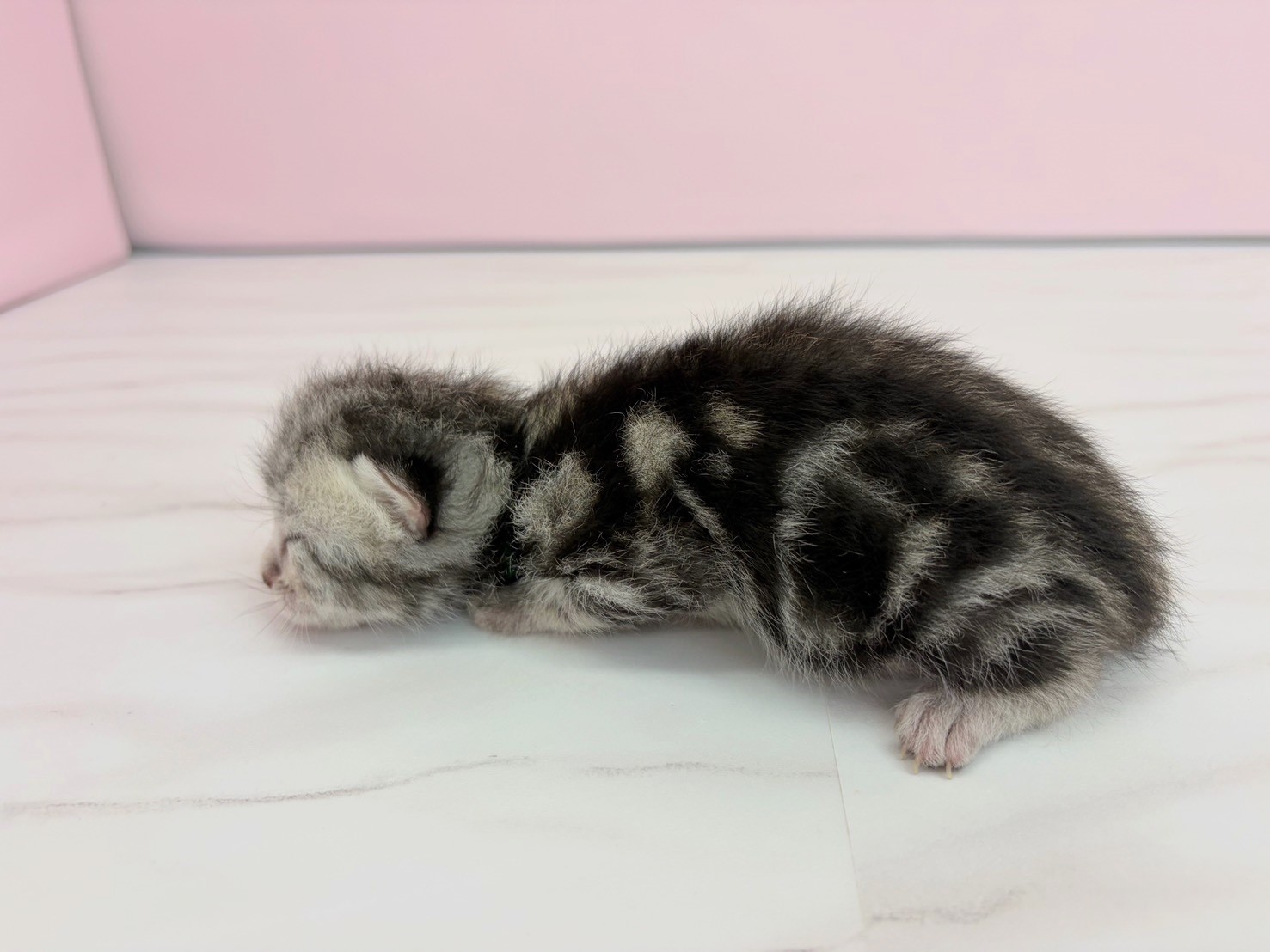 赤ちゃん写真1-2