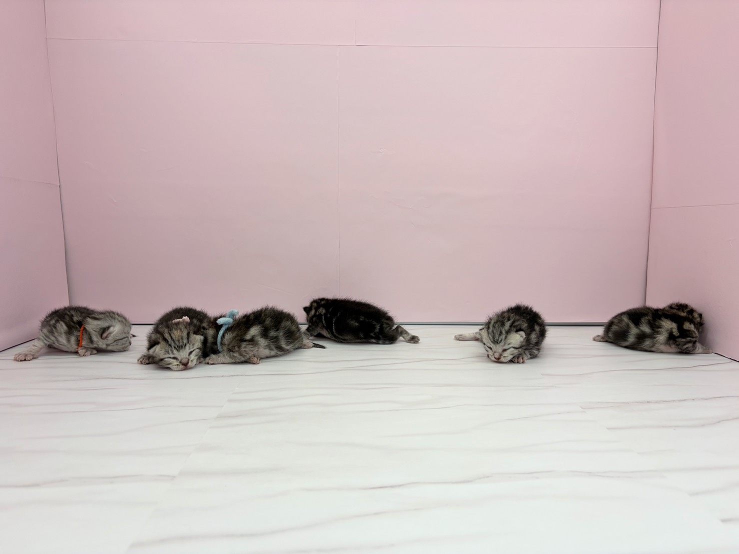 赤ちゃん写真1-3