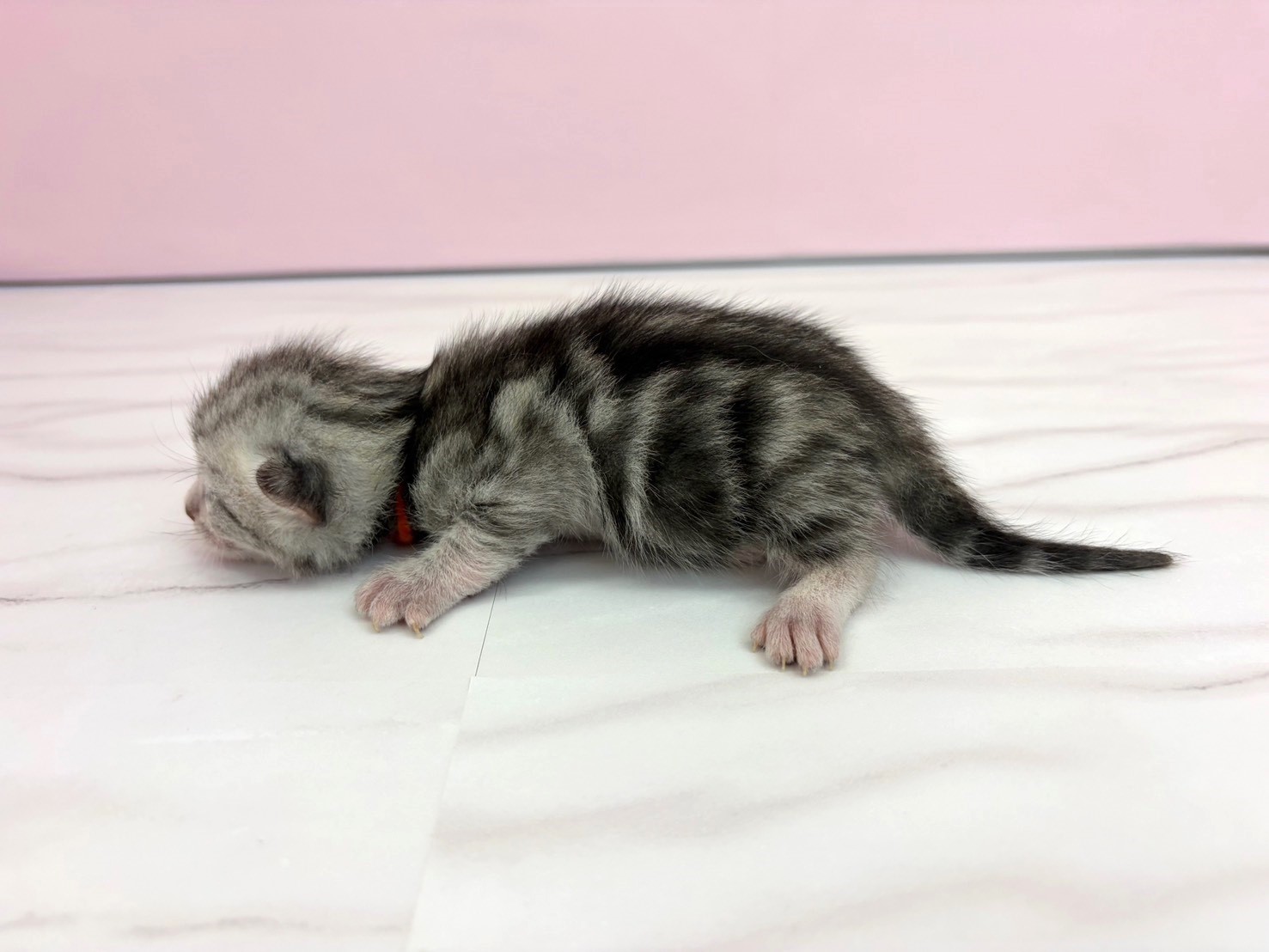 赤ちゃん写真1-2