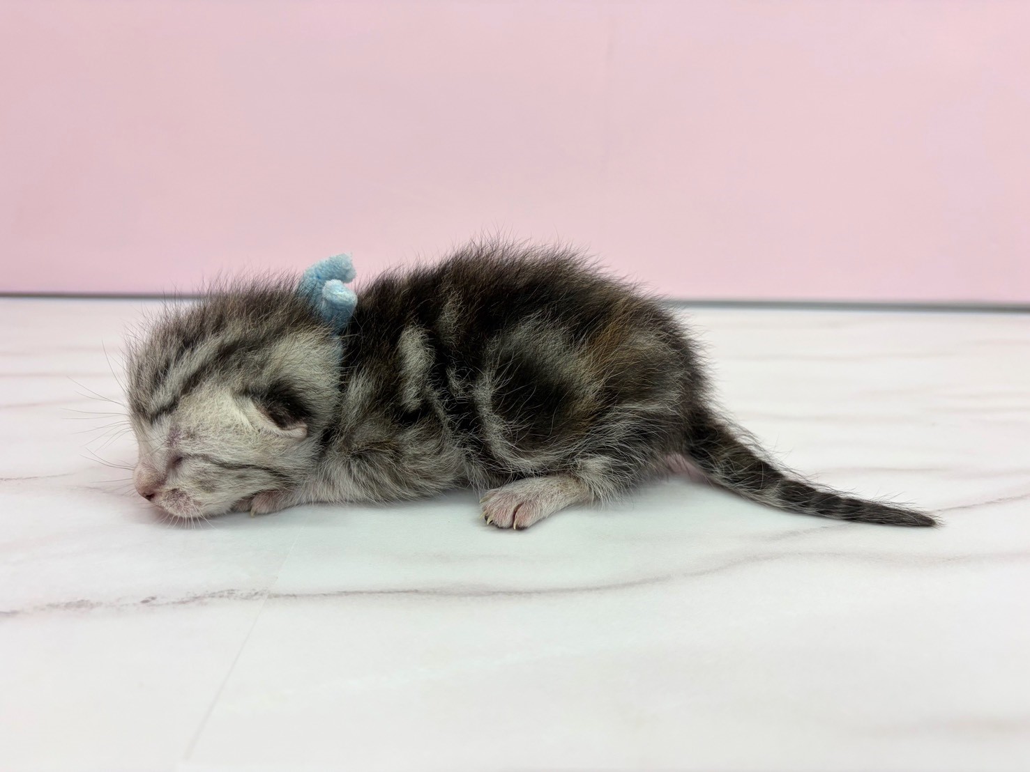 赤ちゃん写真1-2