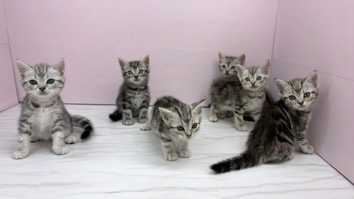 赤ちゃん写真2-3