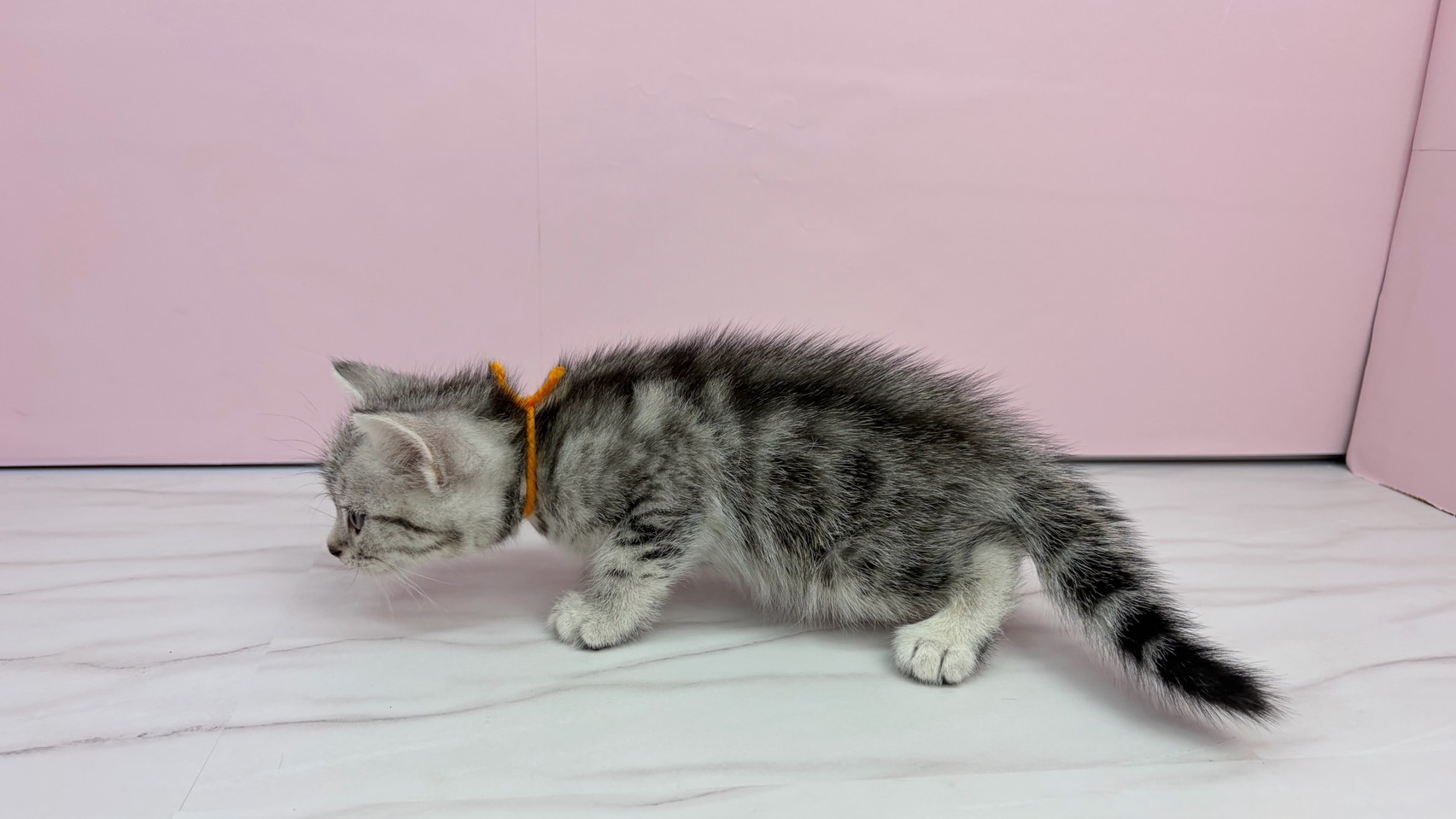 赤ちゃん写真2-2