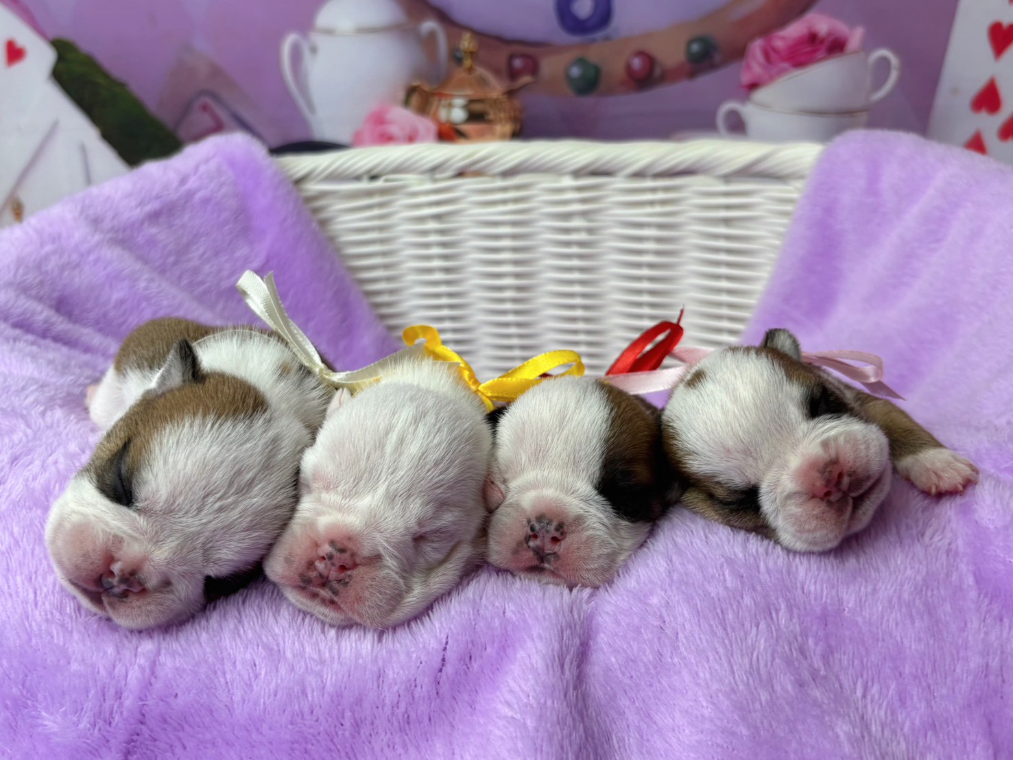 赤ちゃん写真1-3