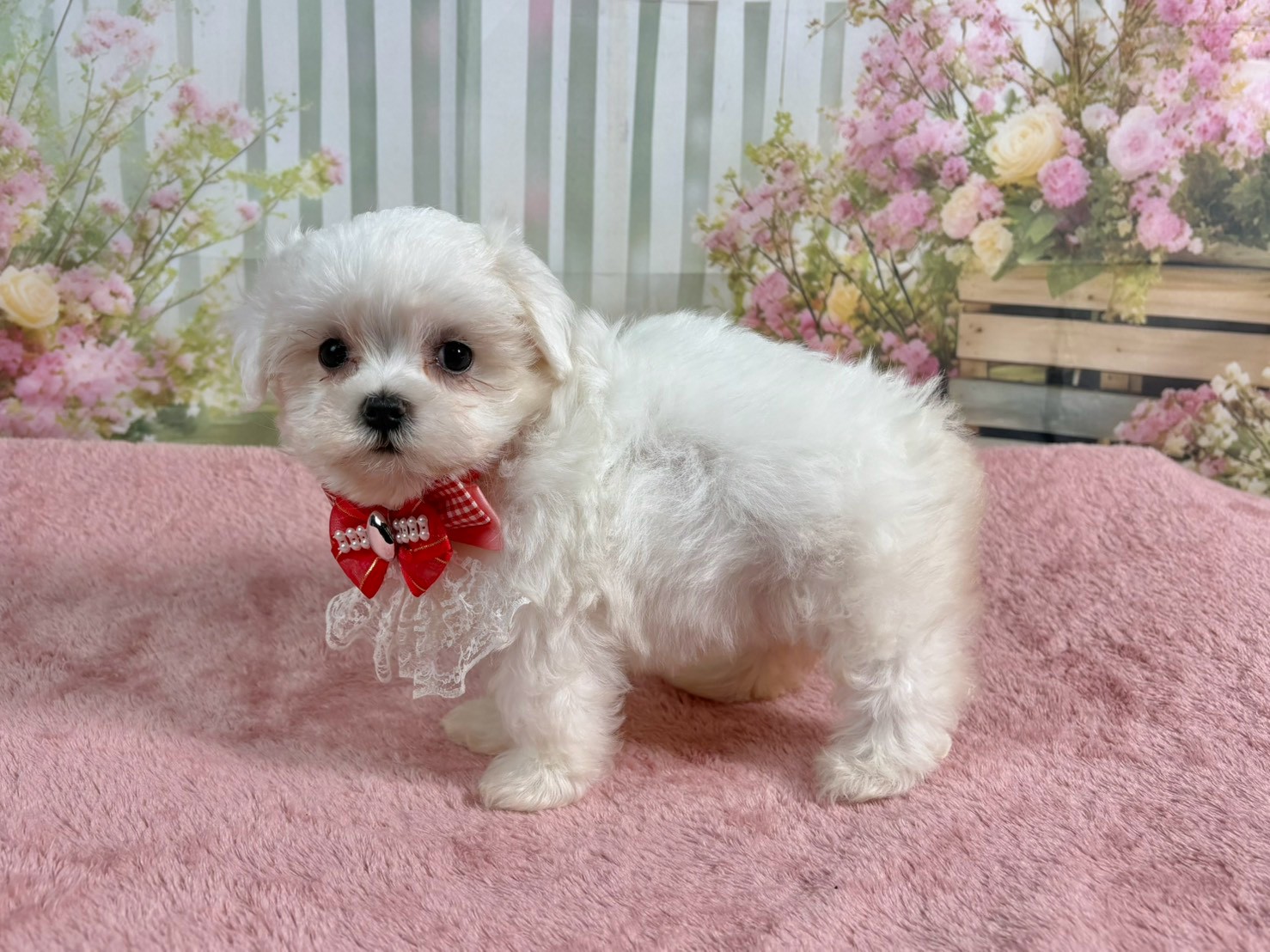 赤ちゃん写真3-2