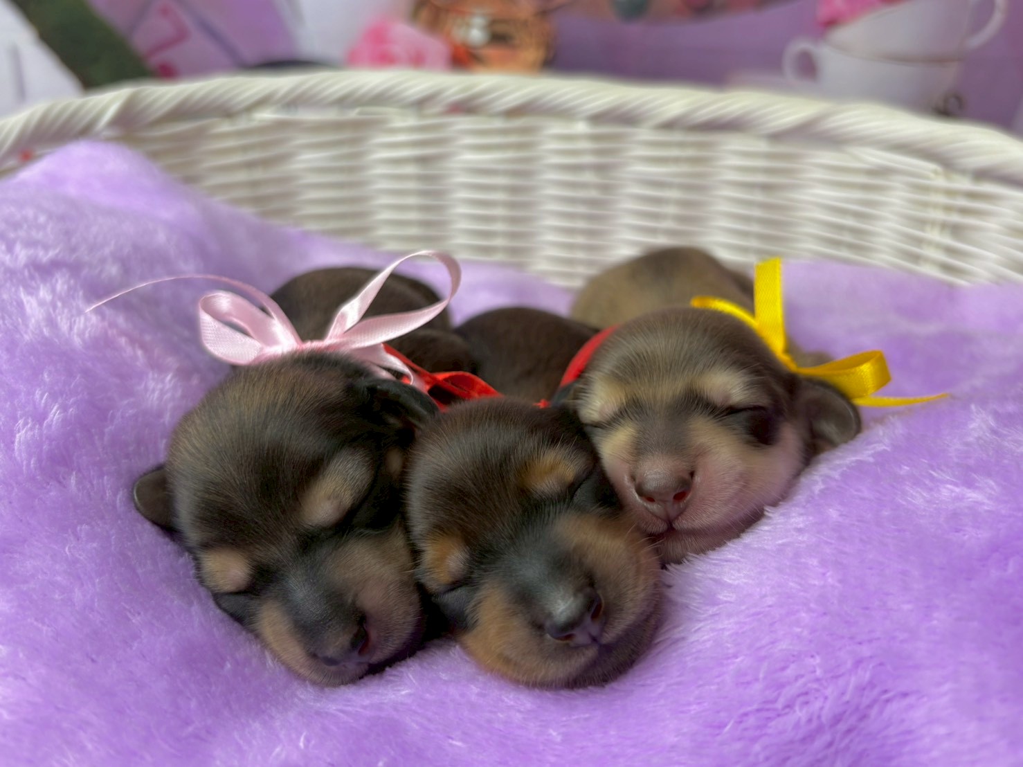 赤ちゃん写真1-3