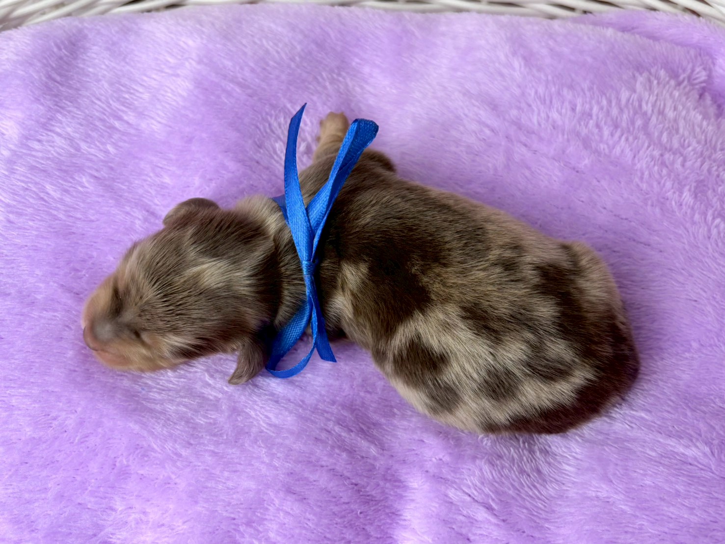 赤ちゃん写真1-3