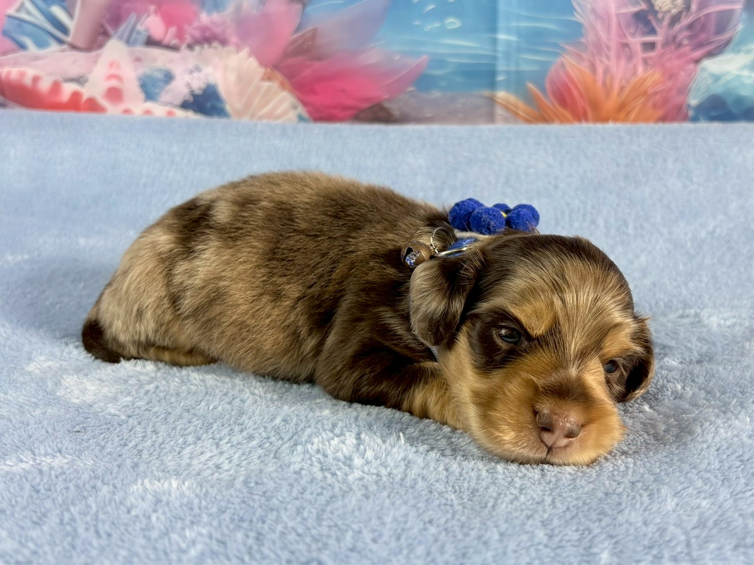 赤ちゃん写真2-2