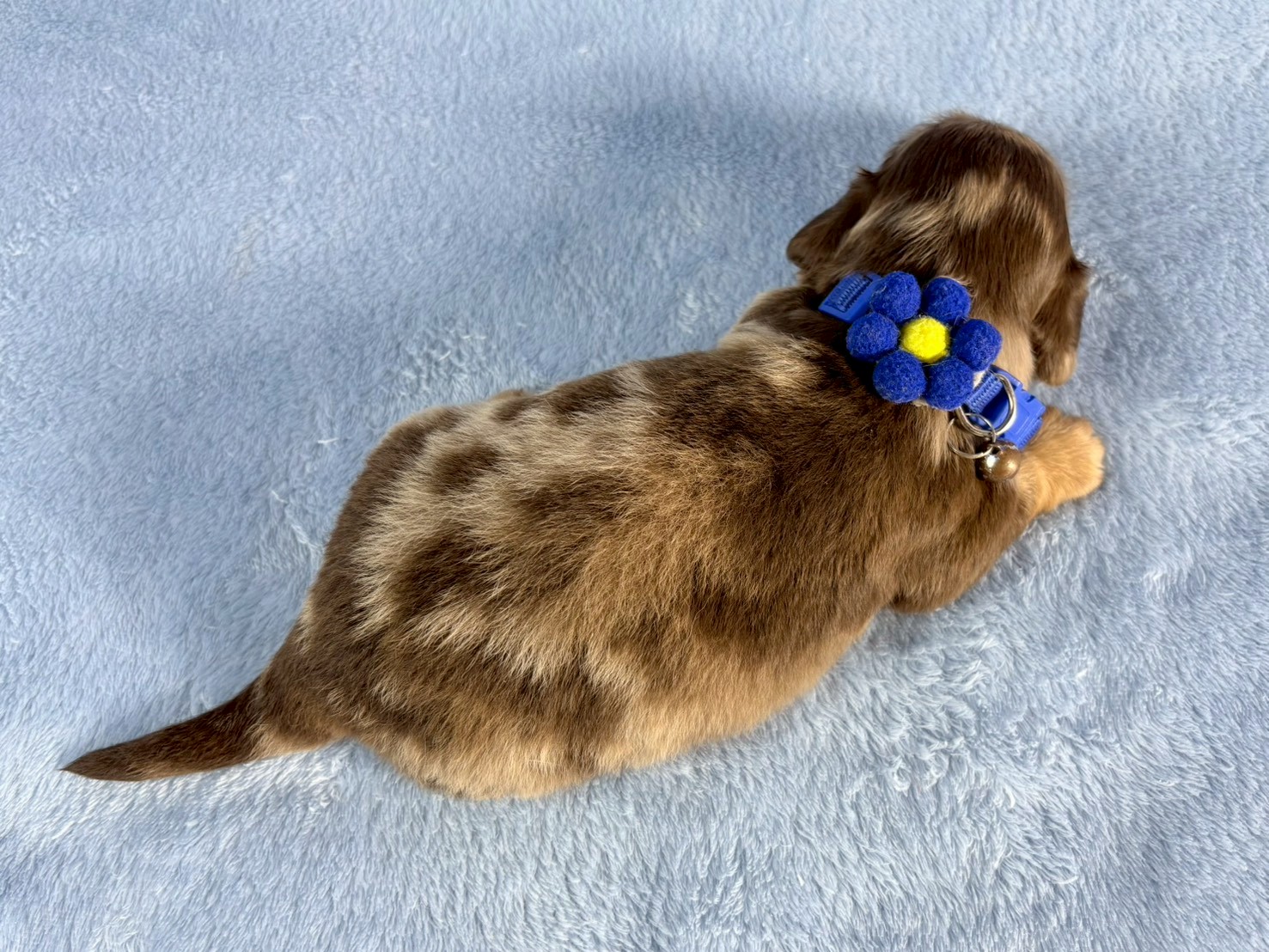 赤ちゃん写真2-3