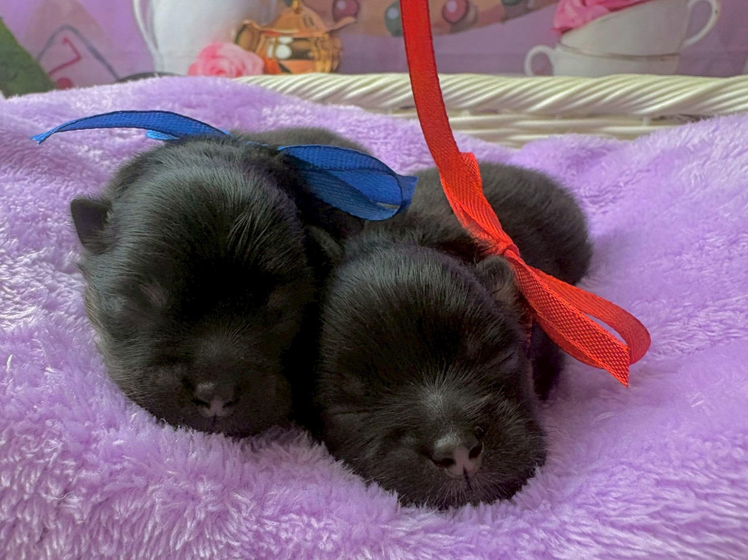 赤ちゃん写真1-3