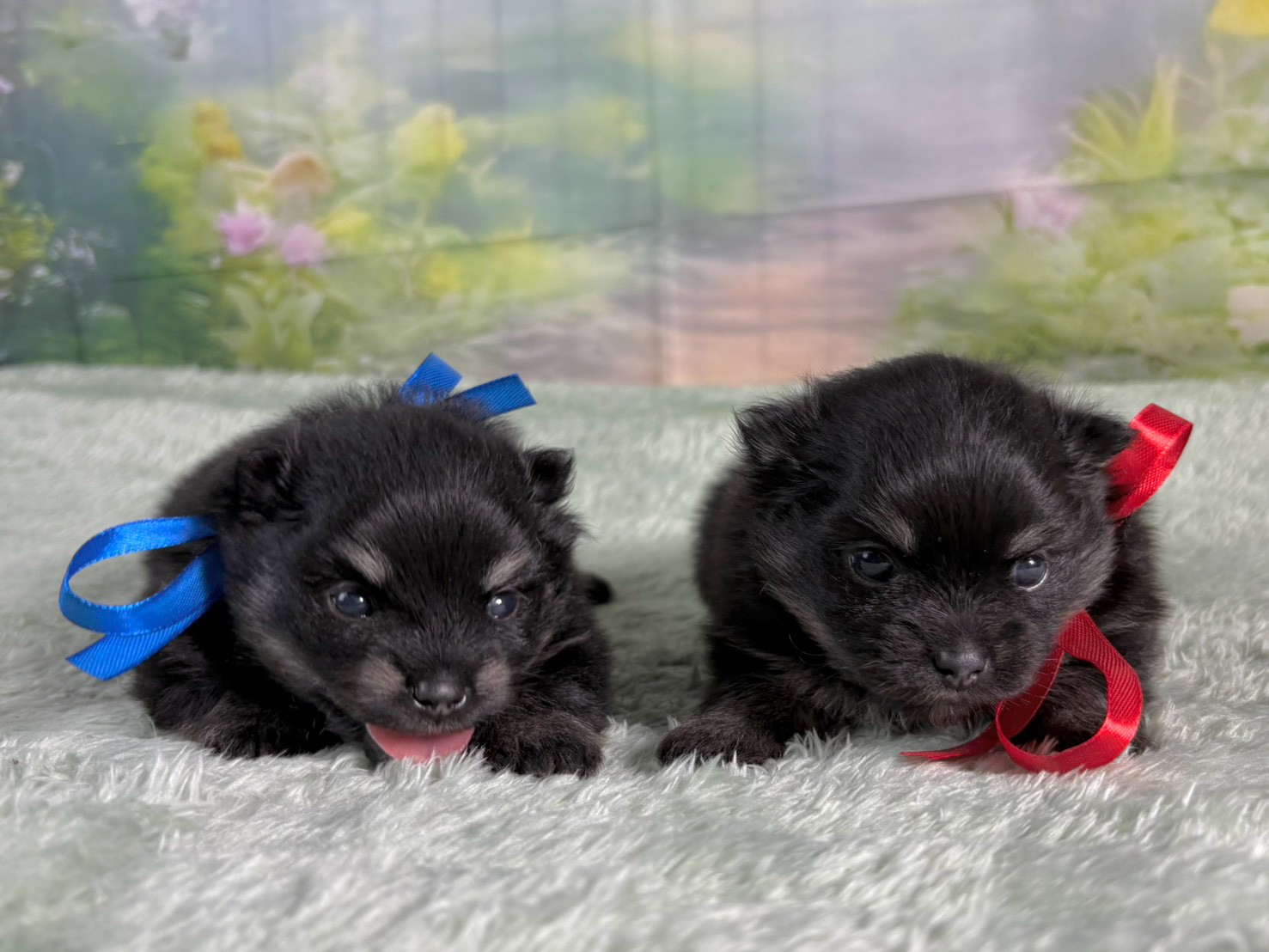 赤ちゃん写真2-3