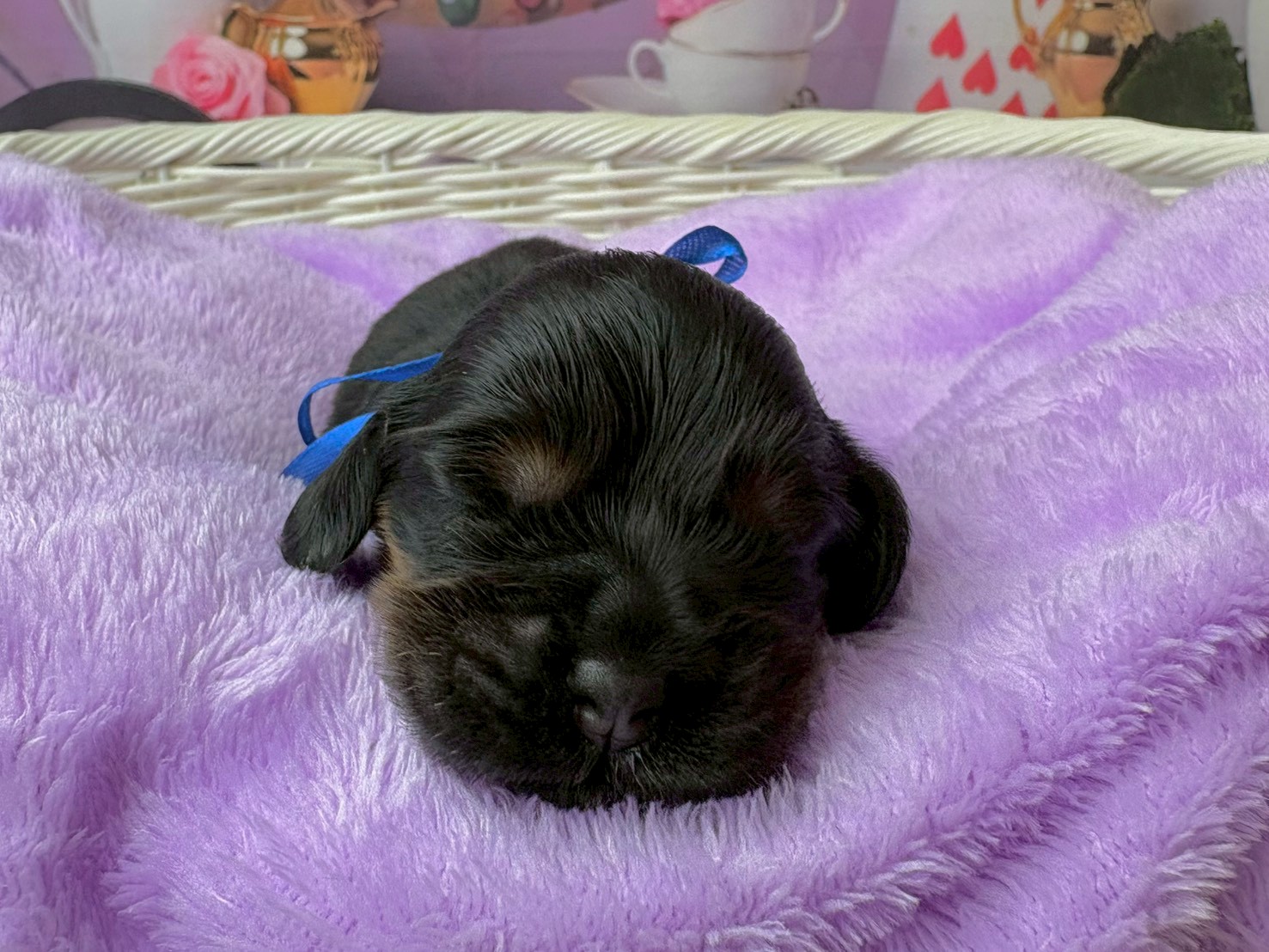 赤ちゃん写真1-1