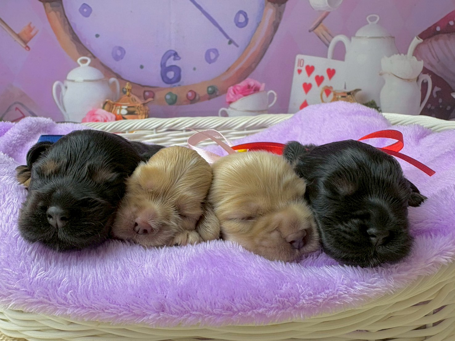 赤ちゃん写真1-3
