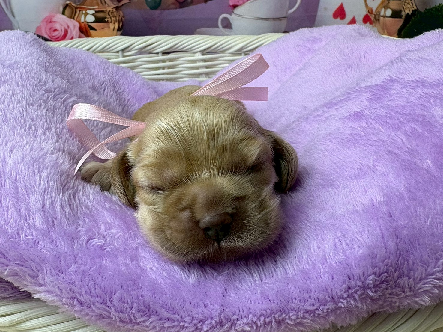 赤ちゃん写真1-1