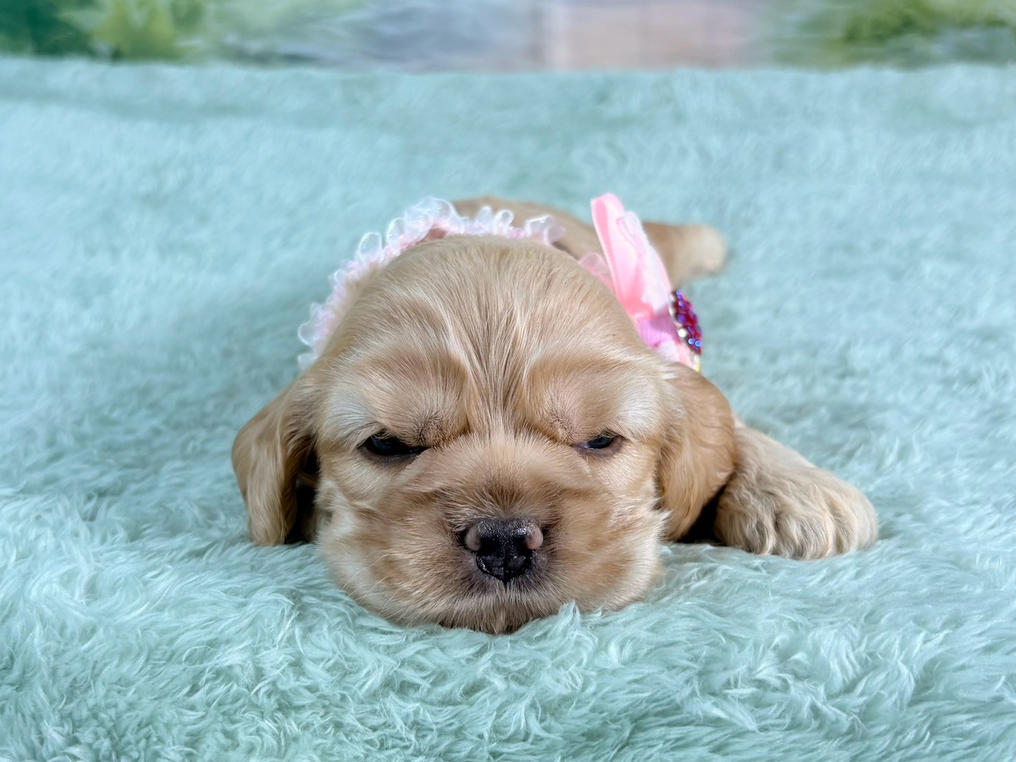 赤ちゃん写真2-1