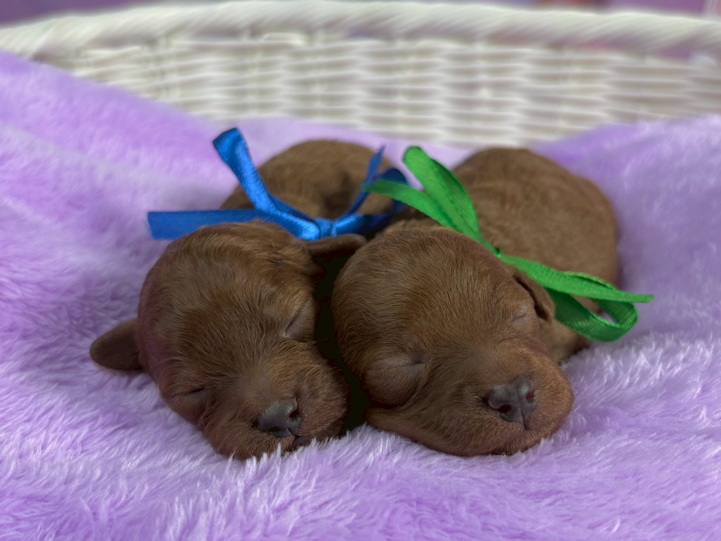 赤ちゃん写真1-3