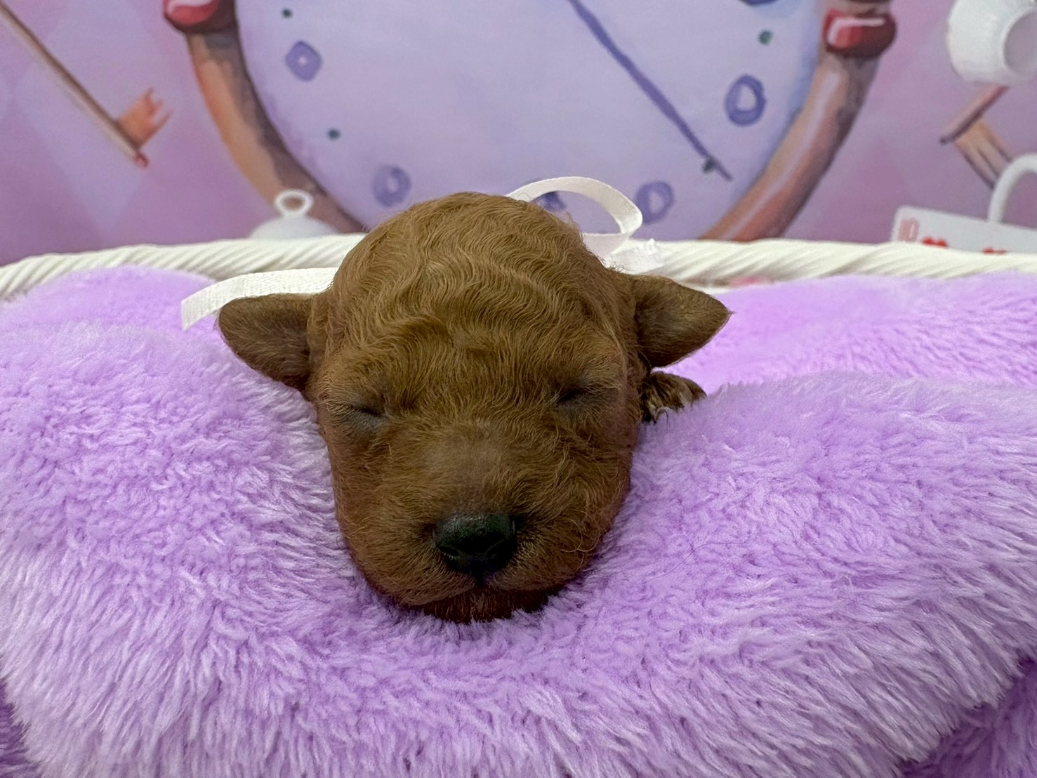 赤ちゃん写真1-1