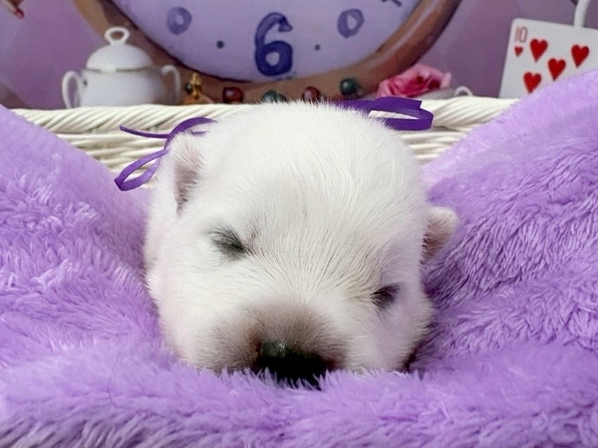 赤ちゃん写真1-1