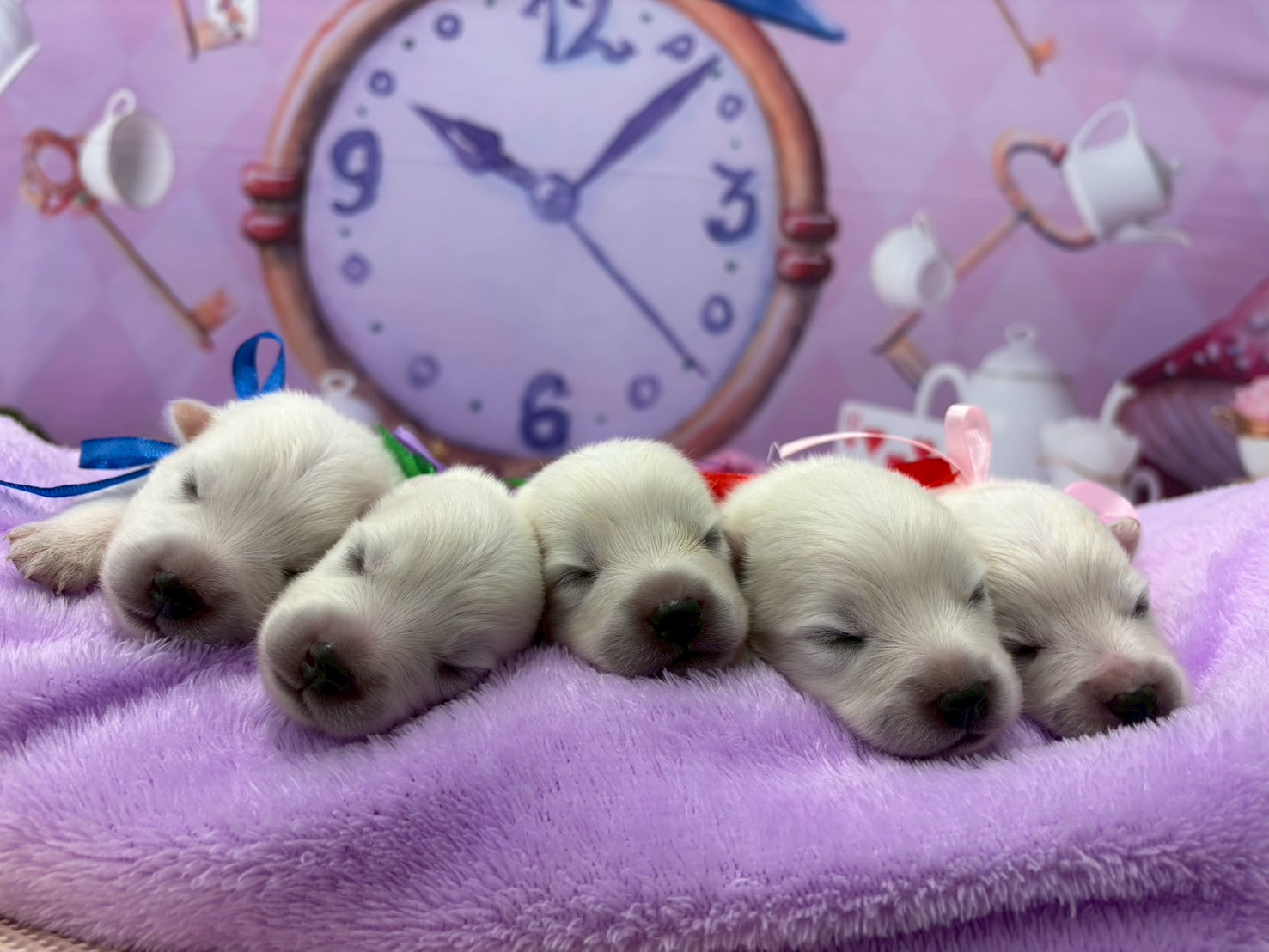赤ちゃん写真1-3