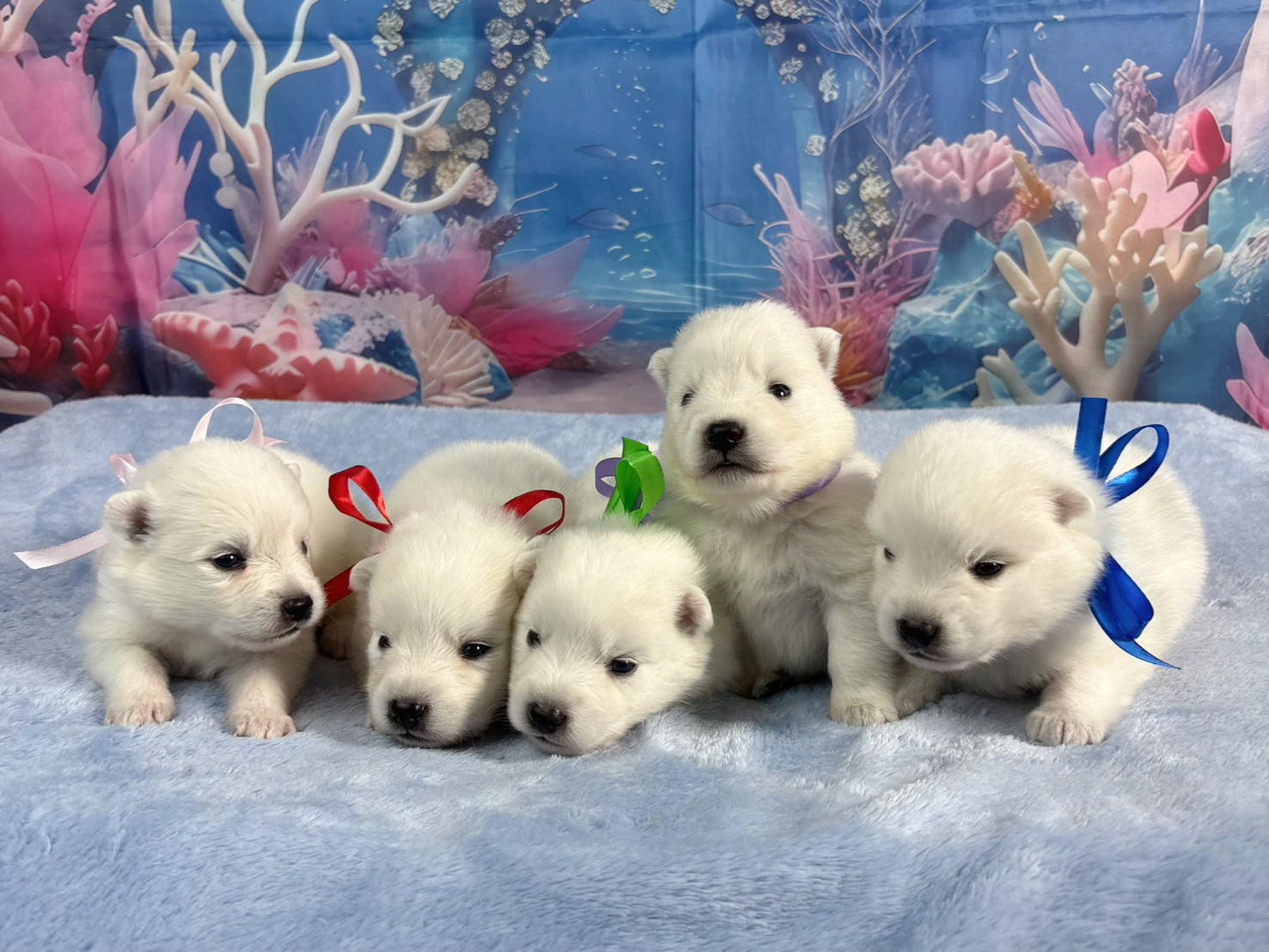 赤ちゃん写真2-3