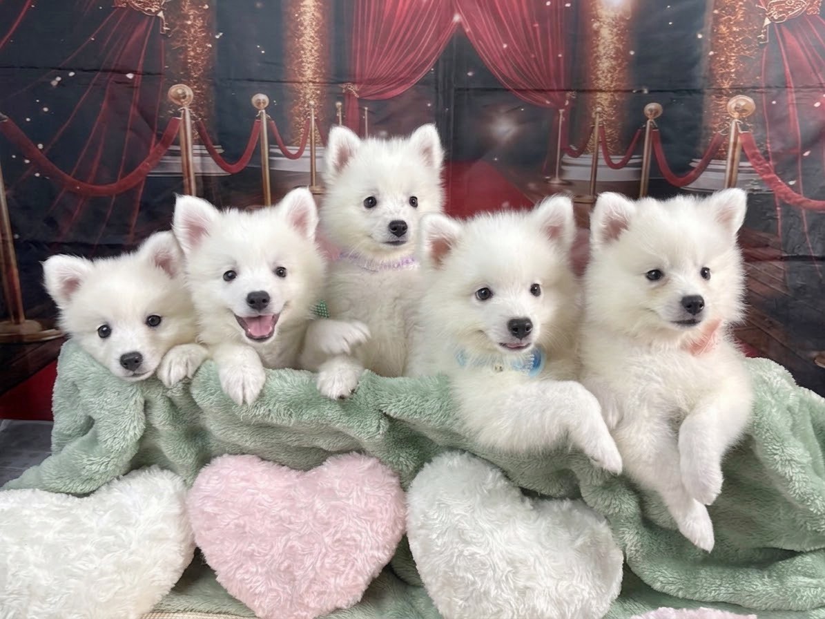 赤ちゃん写真3-3