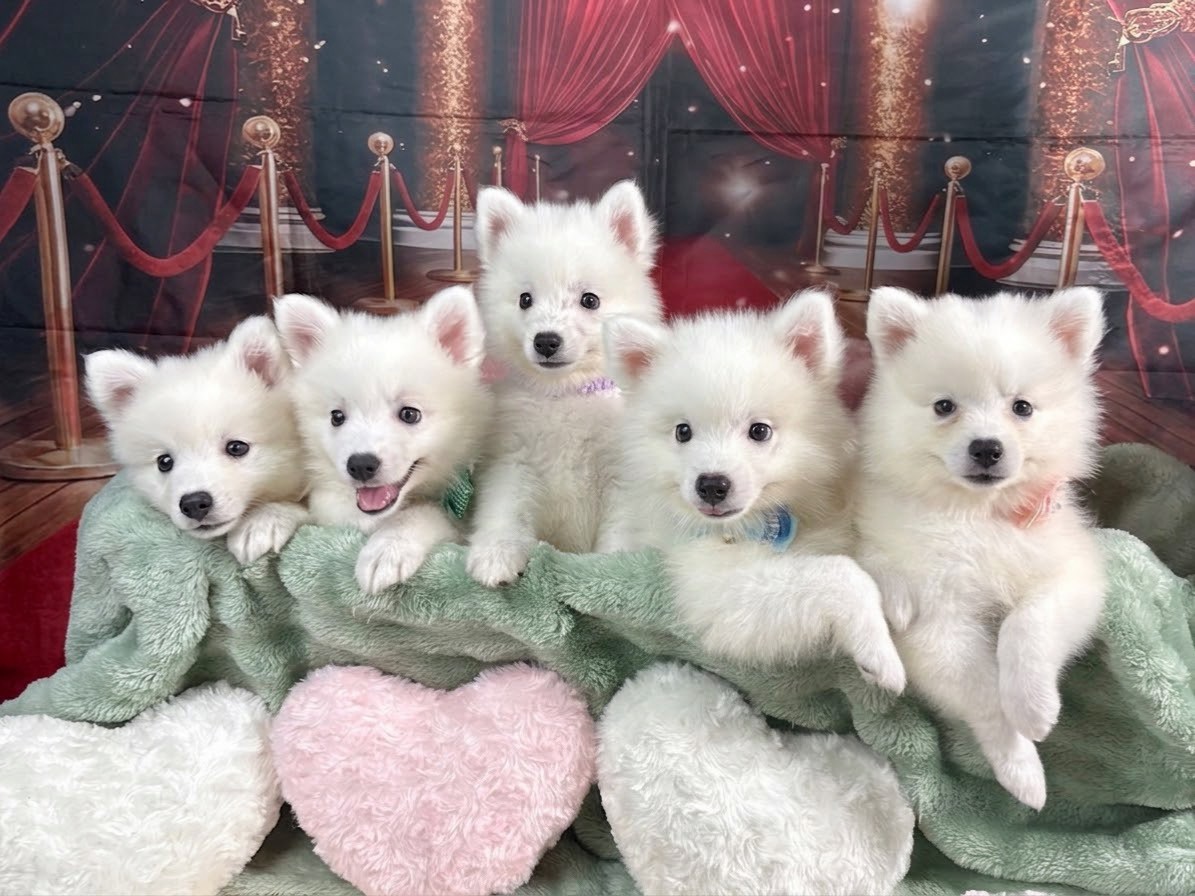 赤ちゃん写真3-3
