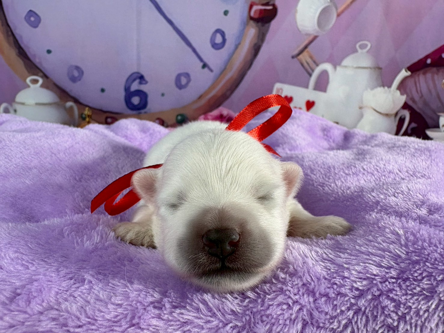 赤ちゃん写真1-1