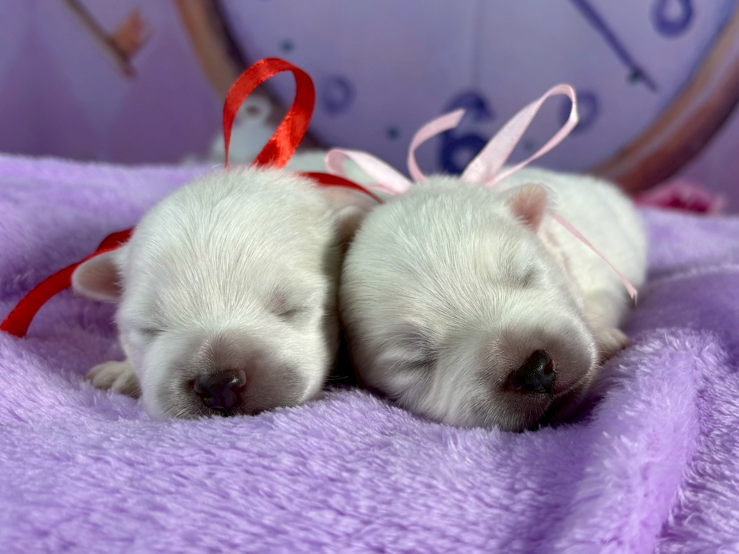 赤ちゃん写真1-3