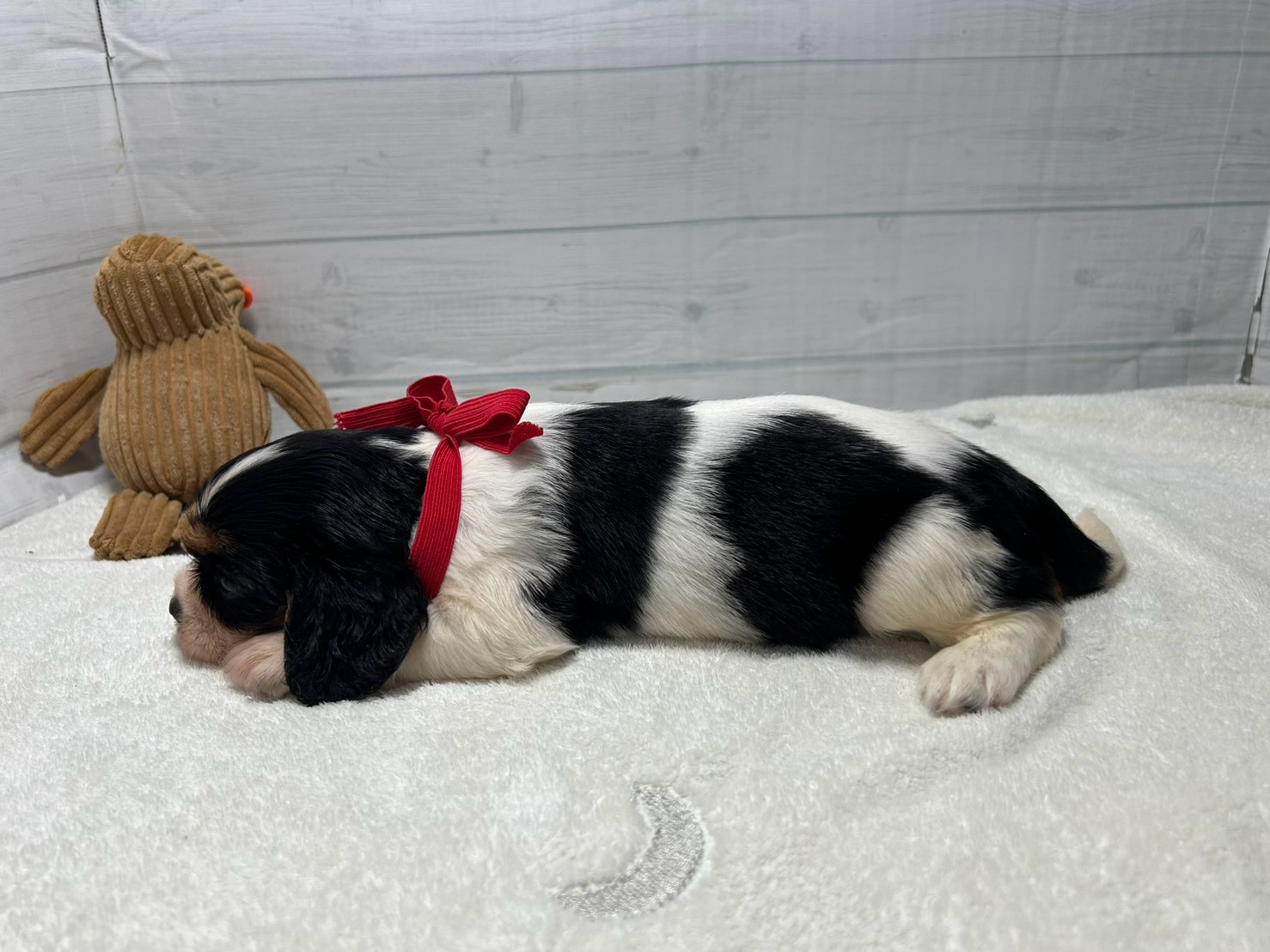 赤ちゃん写真2-2