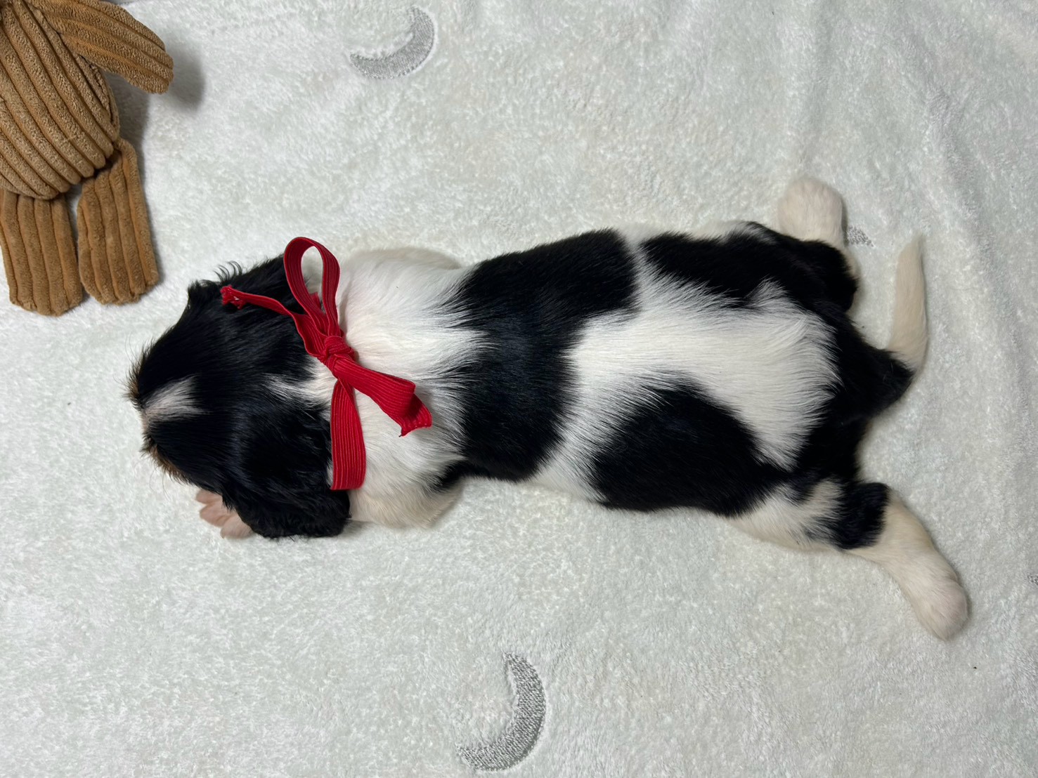 赤ちゃん写真2-3