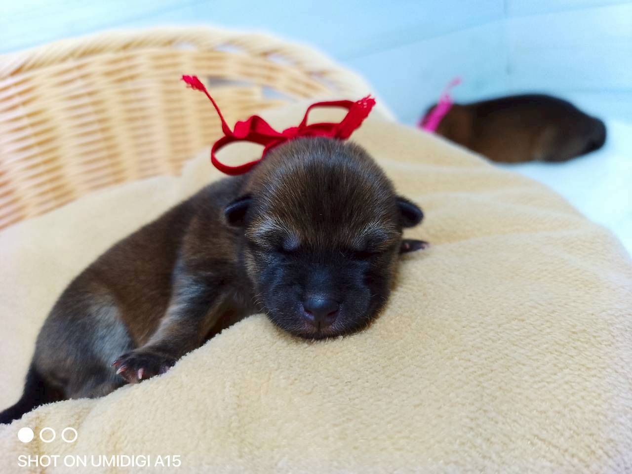 赤ちゃん写真1-1