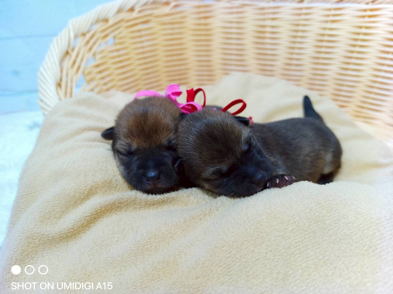 赤ちゃん写真1-3